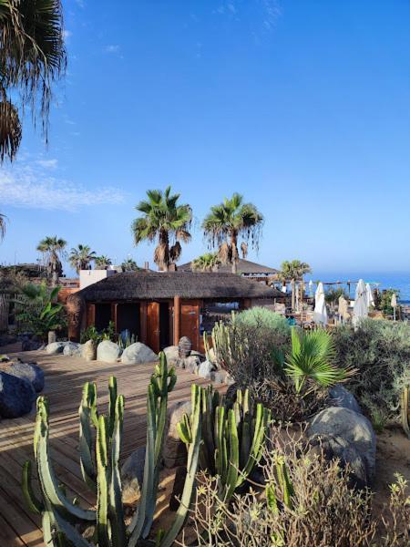 Margherita House Tenerife, Wonderful Ocean View Apartment Palm-mar
