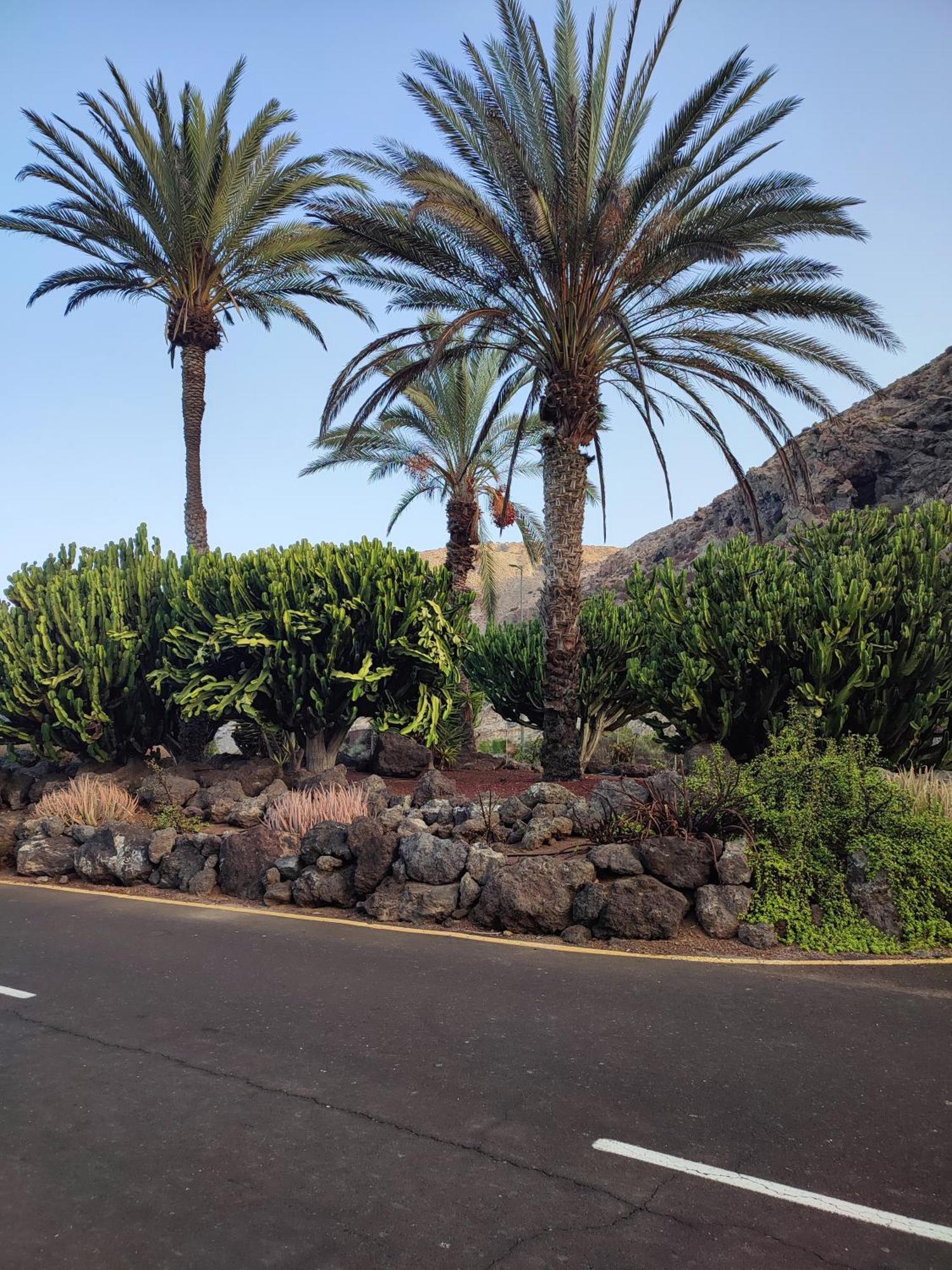 Apartment Margherita House Tenerife, Wonderful Ocean View Palm-mar
